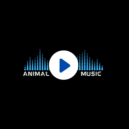 Animal Music